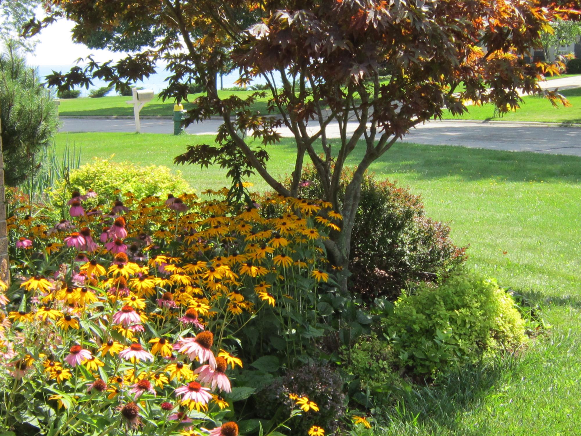 Village of North Bay