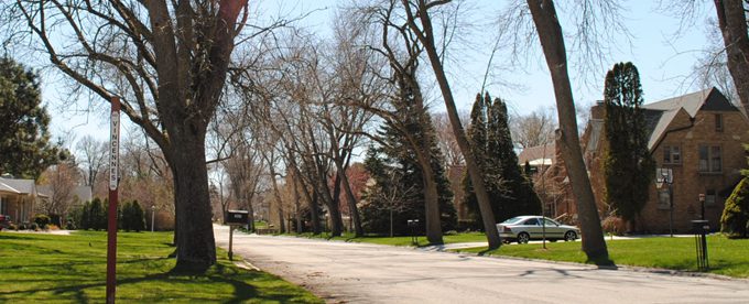 Wide green street